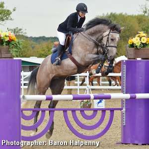 Arena UK Festival of Showjumping 2014 - Lincolnshire Magazine - LincsMag.com