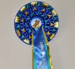 Arena UK Festival of Showjumping 2014 - Lincolnshire Magazine - LincsMag.com