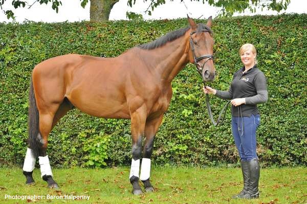 Equestrian People: Hannah Cash - Lincolnshire Magazine - LincsMag.com