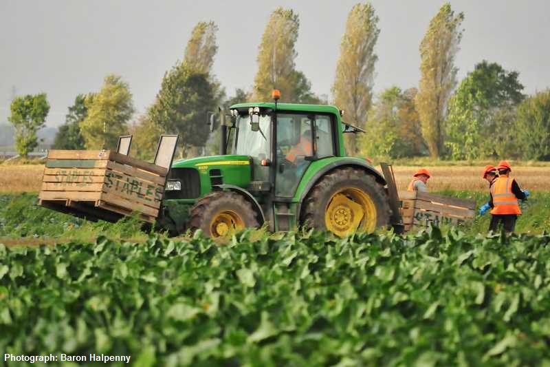 Farmers' Fear Over Brexit - Lincolnshire Magazine - LincsMag.com