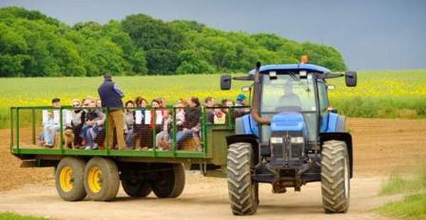 Open Farm Sunday - Lincolnshire Magazine - LincsMag.com