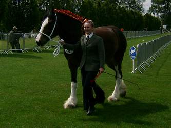 127th Lincolnshire Show 2011 - Photo by Baron Halpenny - Lincolnshire Magazine - LincsMag.com