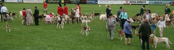 127th Lincolnshire Show 2011 - Photo by Baron Halpenny - Lincolnshire Magazine - LincsMag.com