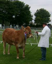 127th Lincolnshire Show 2011 - Photo by Baron Halpenny - Lincolnshire Magazine - LincsMag.com