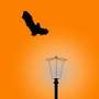 Bats In The Belfry - Lincolnshire Magazine - LincsMag.com