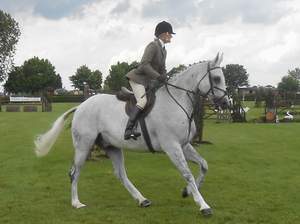 Lincolnshire Show 2012 - Lincolnshire Magazine - LincsMag.com