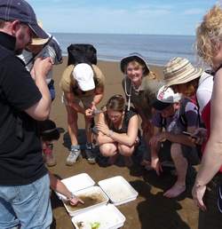 Sea-dipping at Gibraltar point - Marine and Coastal Day (2010) - Lincolnshire Magazine - LincsMag.com