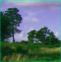 The Lincolnshire Elves' Countryside!