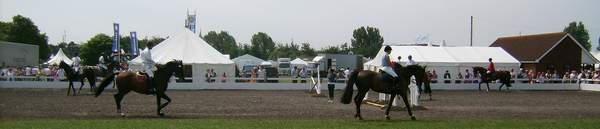 126th Lincolnshire Show 2010 - Photograph by Baron Halpenny - Lincolnshire Magazine - LincsMag.com