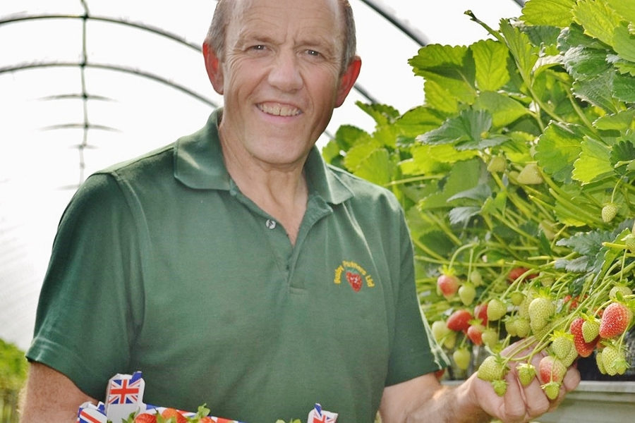 British Strawberries Smiling - Lincolnshire Magazine - LincsMag.com