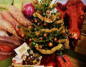Lincolnshire Christmas Food and Gift Fair 2011 - Lincolnshire Magazine - LincsMag.com