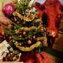 Lincolnshire Christmas Food and Gift Fair 2011 - Lincolnshire Magazine - LincsMag.com