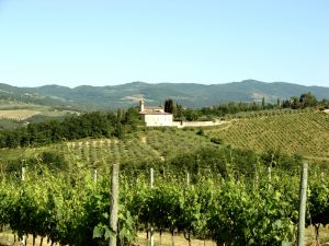 A Brief History of the Chianti Classico Region - Lincolnshire Magazine - LincsMag.com