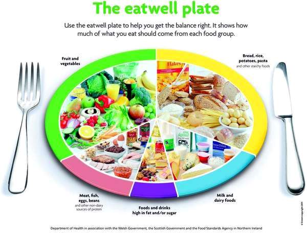 The Eatwell Plate - Lincolnshire Magazine - LincsMag.com