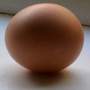 Salmonella Found In Liquid Egg Product - Lincolnshire Magazine - LincsMag.com
