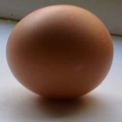 Salmonella Found In Liquid Egg Product - Lincolnshire Magazine - LincsMag.com