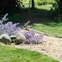 Make Your Garden Sell Your Home. - Lincolnshire Magazine - LincsMag.com