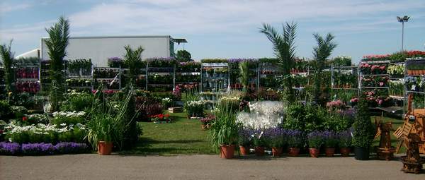 Lincolnshire's All About Gardening Show - Lincolnshire Magazine - LincsMag.com