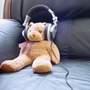 Noise Tops Neighbour Complaints - Lincolnshire Magazine - LincsMag.com