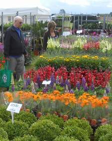 Lincolnshire's All About Gardening Show - Lincolnshire Magazine - LincsMag.com