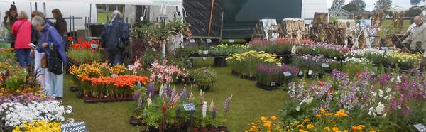 Lincolnshire's All About Gardening Show - Lincolnshire Magazine - LincsMag.com
