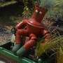 Lincolnshire's All About Gardening Show 2012 - Lincolnshire Magazine - LincsMag.com