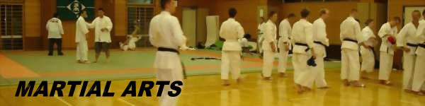 LincsMag Martial Arts Section - photo by shodan