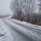 Safe Driving in Wintry Weather - Lincolnshire Magazine - LincsMag.com