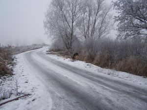Safe Driving in Wintry Weather - Lincolnshire Magazine - LincsMag