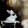 The_Magicians - BBC - Lincolnshire Magazine - LincsMag