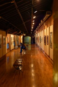 Art Collections and Wall Art