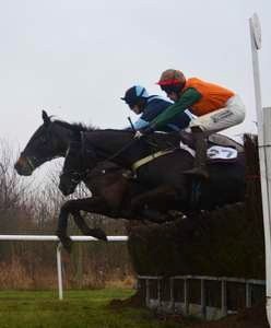 Burton Point-to-Point 2013 - Lincolnshire Magazine - LincsMag.com