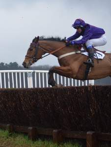 Brocklesby Point-to-Point 2013 - Lincolnshire Magazine - LincsMag.com