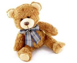 How To Make A Teddy Bear With Character - Lincolnshire Magazine - LincsMag.com