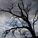 Spooky Ways - Lincolnshire Magazine - LincsMag