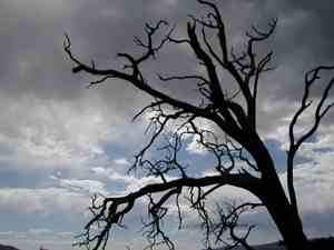 Spooky Ways - Lincolnshire Magazine - LincsMag.com