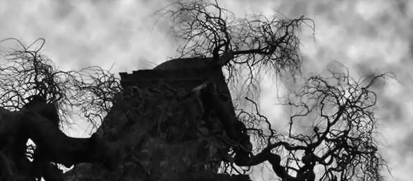Spooky Ways - Lincolnshire Magazine - LincsMag.com