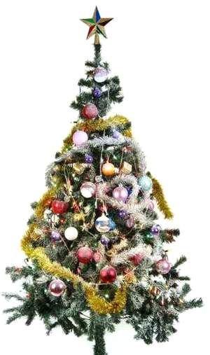 Christmas Tree - picture by Suat Eman - The Christmas Tree & Christmas Cone - Lincolnshire Magazine - LincsMag.com