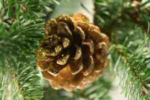 Christmas Cone - picture by Ali Taylor - The Christmas Tree & Christmas Cone - Lincolnshire Magazine - LincsMag.com