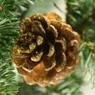 The Christmas Tree & Christmas Cone - Lincolnshire Magazine - LincsMag