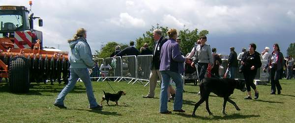 Lincolnshire Show 2011 Dogs - Lincolnshire Magazine - LincsMag.com