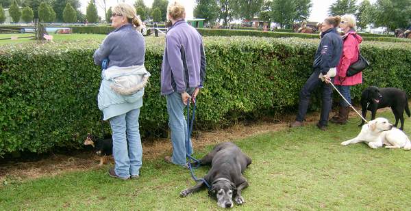 Lincolnshire Show 2011 Dogs - Lincolnshire Magazine - LincsMag.com