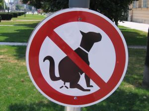 The Problem of Dog Poop - Lincolnshire Magazine - LincsMag.com