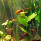 A few Things to Know About Aquarium Care - Lincolnshire Magazine - LincsMag.com