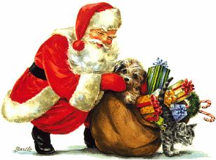 Christmas Time Pets - Lincolnshire Magazine - LincsMag.com