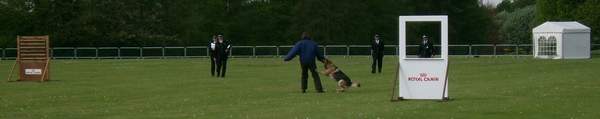 50th Anniversary National Police Dog Trials - photo Baron Halpenny - Lincolnshire Magazine - LincsMag.com