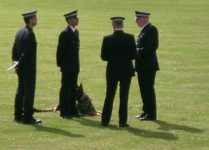 50th Anniversary National Police Dog Trials - photo Baron Halpenny - Lincolnshire Magazine - LincsMag.com