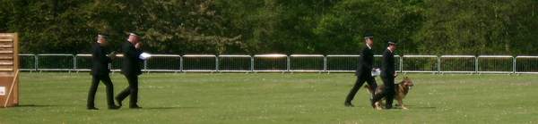 50th Anniversary National Police Dog Trials - photo Baron Halpenny - Lincolnshire Magazine - LincsMag.com